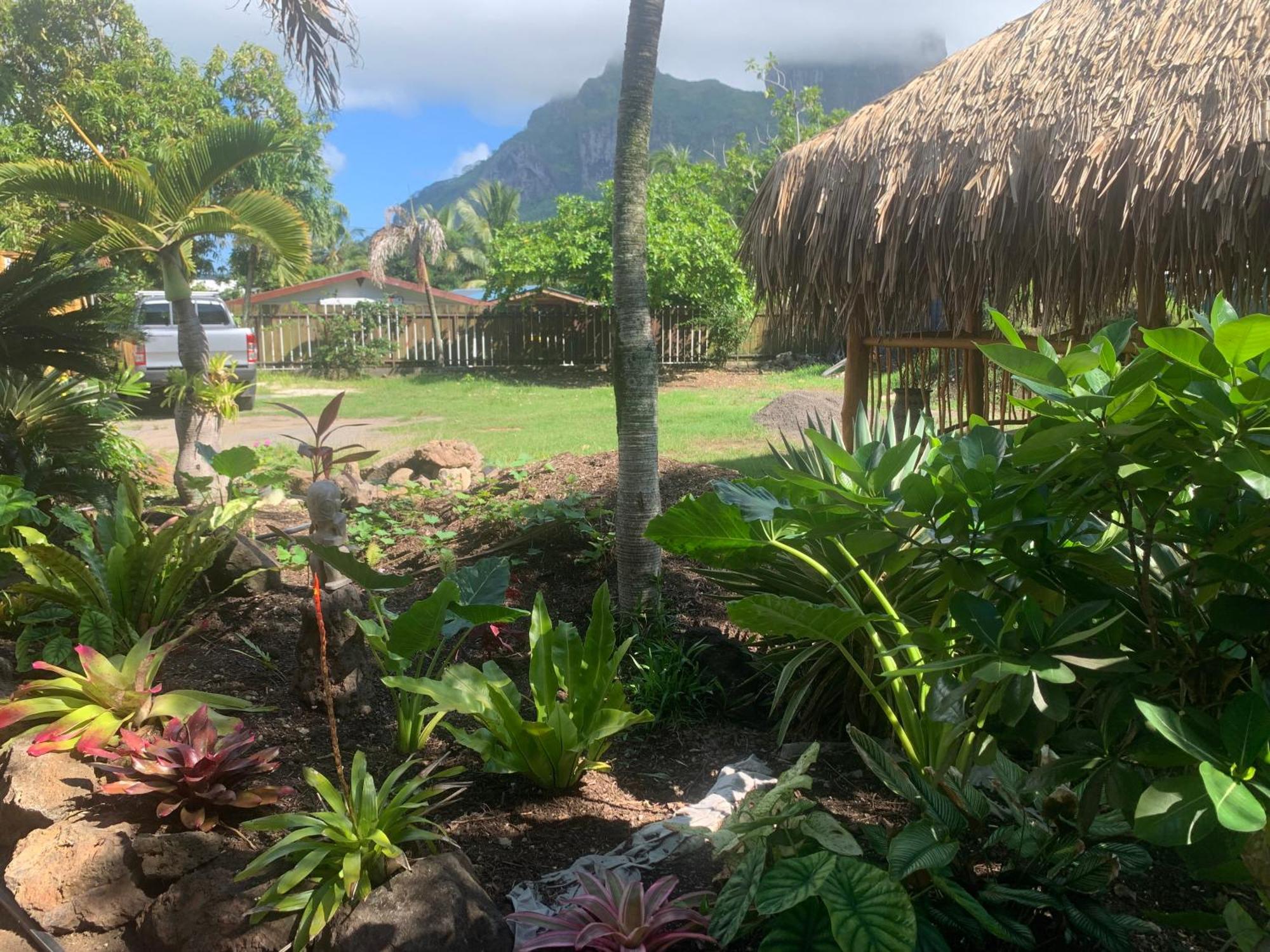 Tiki Ora Lodge - Moana Bora Bora Exterior photo