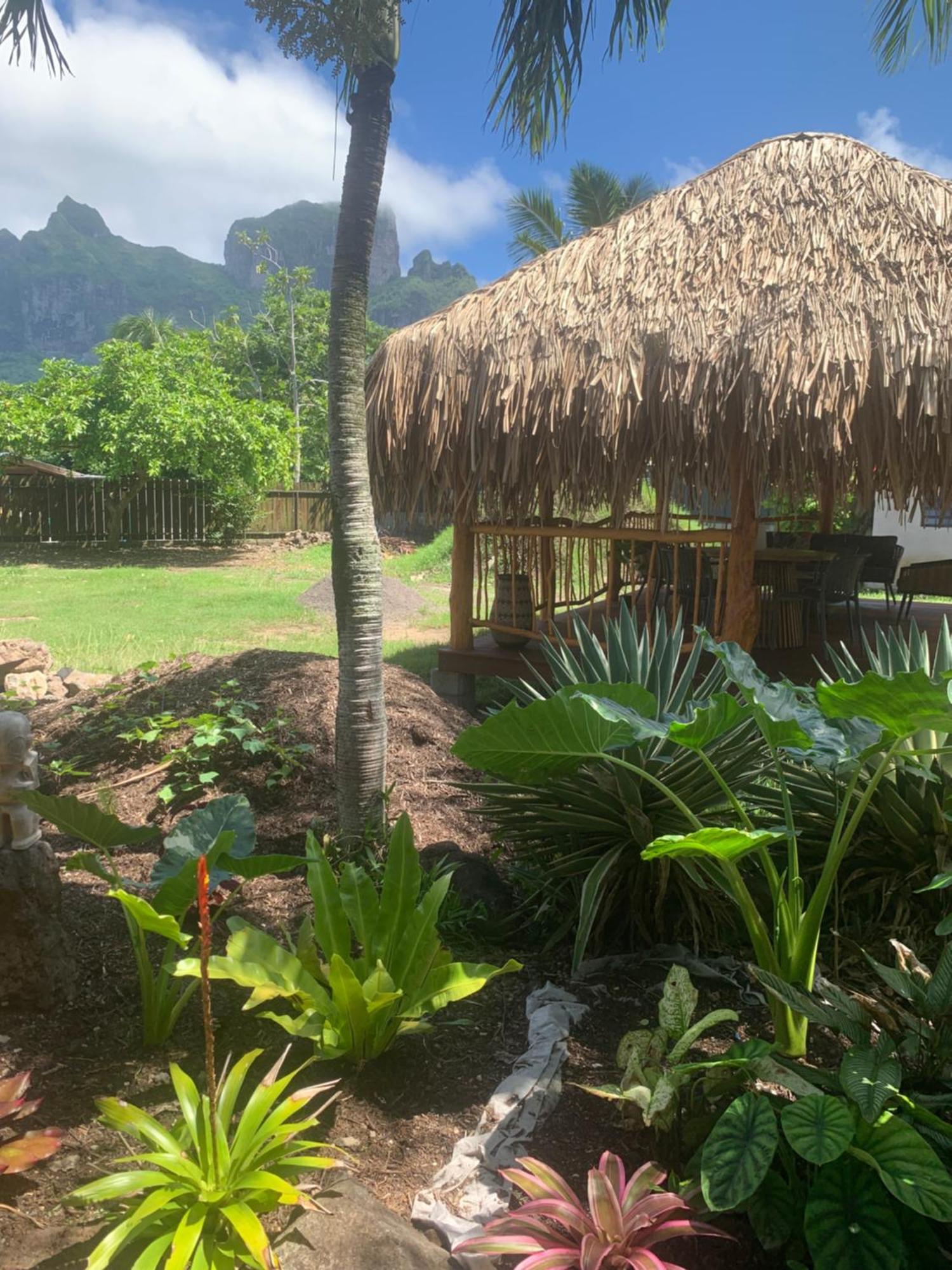 Tiki Ora Lodge - Moana Bora Bora Exterior photo